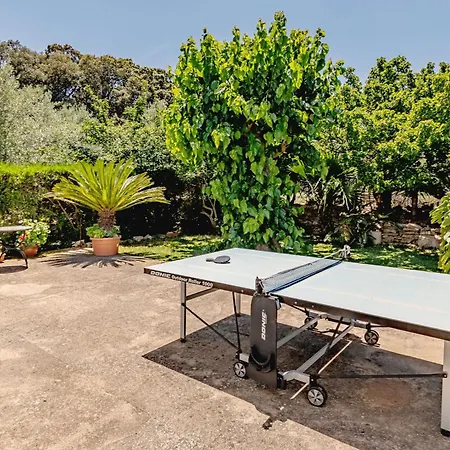 Camarroja By Sealand 포엔샤