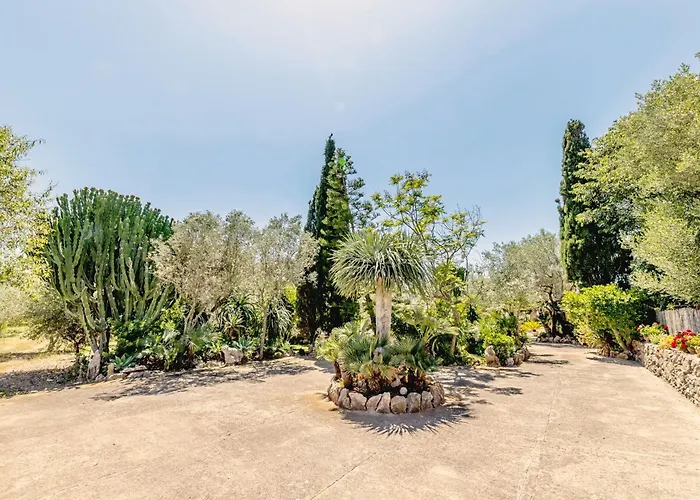 Villa Camarroja By Sealand